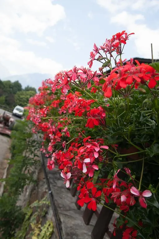 Agriturismo Al Castagneto Villa Mazzo di Valtellina 0*,  Italia