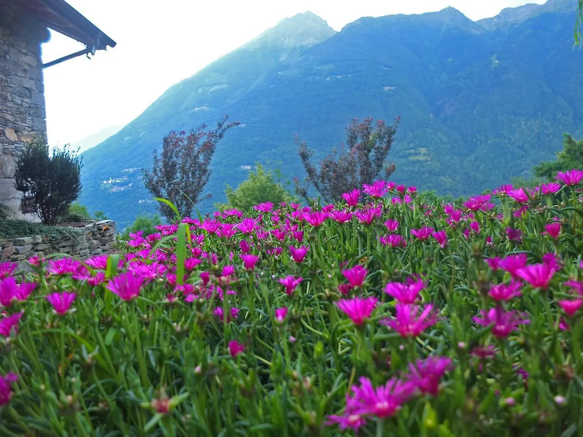 Mazzo di Valtellina Agriturismo Al Castagneto 빌라 팜스테이